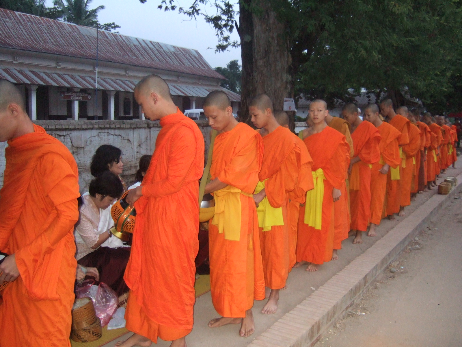 Monks receiving alms on a Luang Prabang street